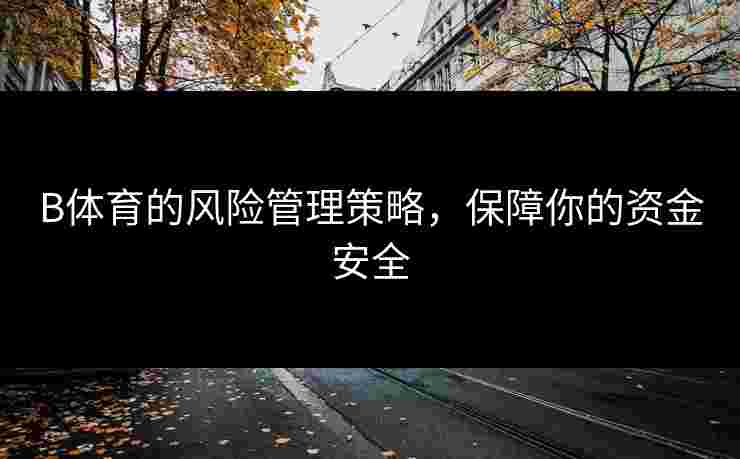 B体育的风险管理策略，保障你的资金安全