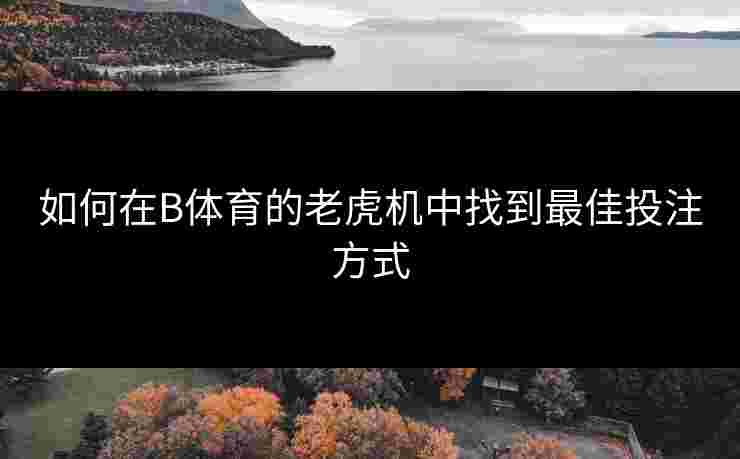 如何在B体育的老虎机中找到最佳投注方式