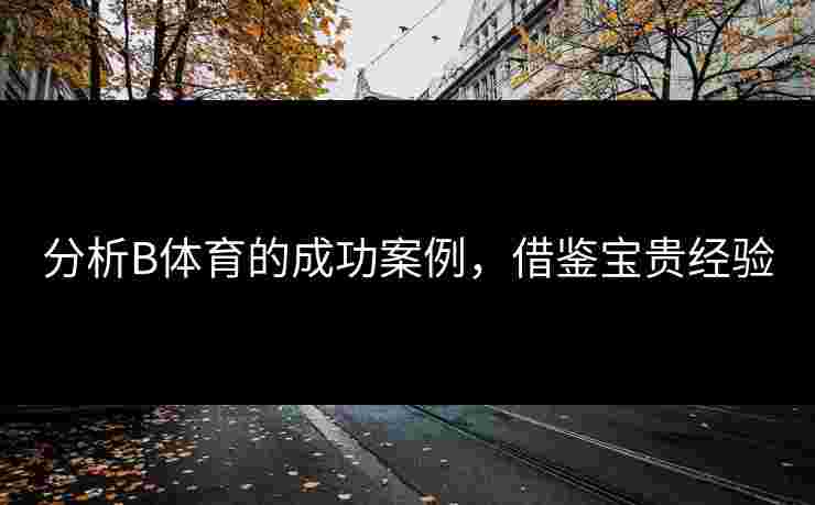 分析B体育的成功案例，借鉴宝贵经验