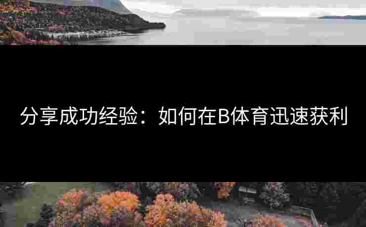 分享成功经验：如何在B体育迅速获利