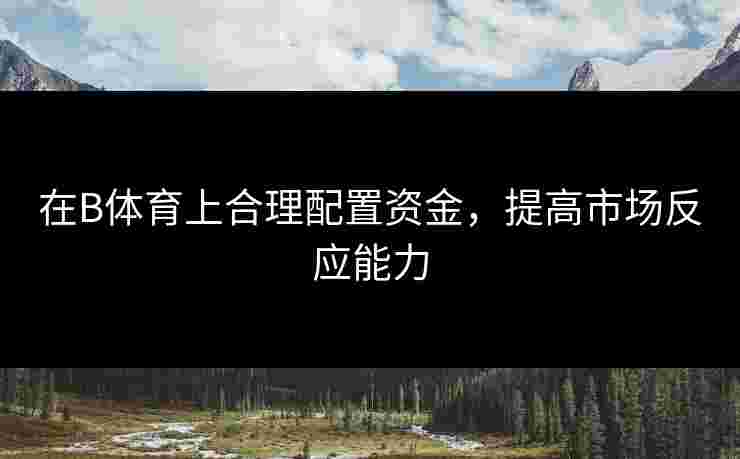 在B体育上合理配置资金，提高市场反应能力