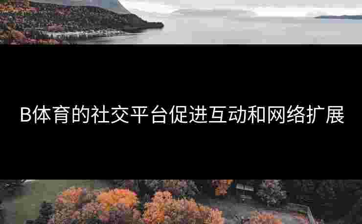 B体育的社交平台促进互动和网络扩展