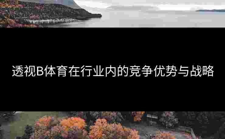 透视B体育在行业内的竞争优势与战略