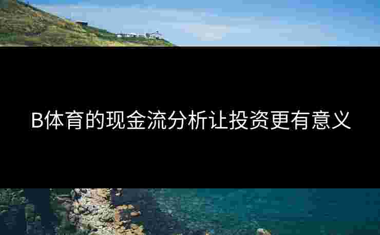 B体育的现金流分析让投资更有意义