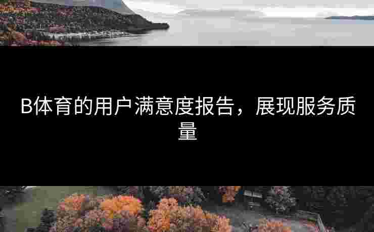 B体育的用户满意度报告，展现服务质量