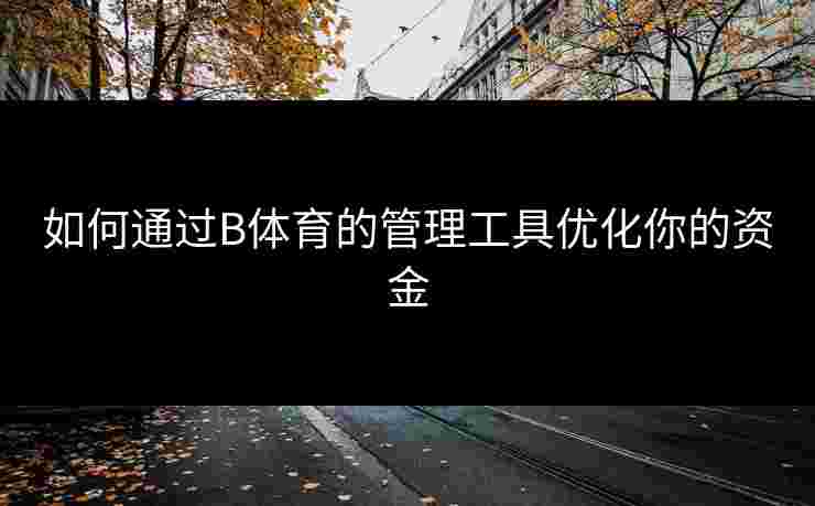 如何通过B体育的管理工具优化你的资金